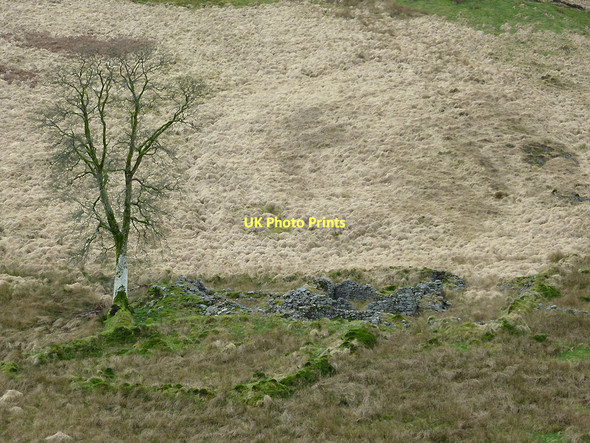 Photo 6"x4" Ruined farmstead in Cwm Camddwr, Ceredigion Cnwch Rhiwhalog c2011