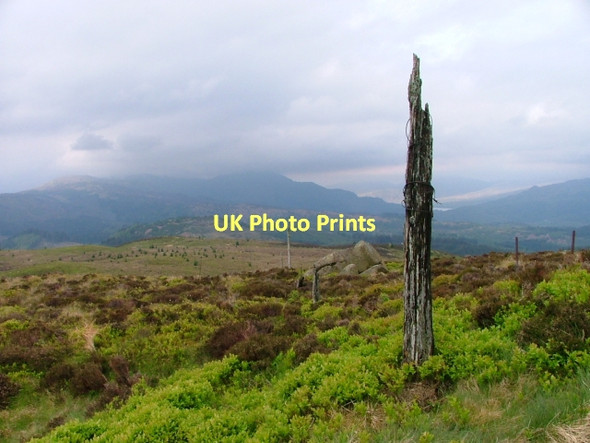 Photo 6"x4" Ruined Fence Post, Craig of Monievreckie Shannochill c2011