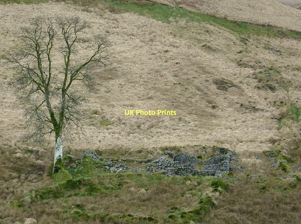 Photo 6"x4" Ruins at Rhytalog near Soar-y-Mynydd, Ceredigion Cnwch Rhiwhalog c2011