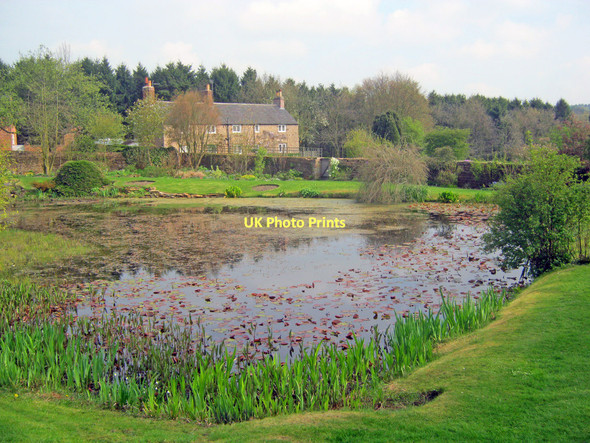 Photo 6"x4" The pond at Felley Priory Garden Bagthorpe\/SK4751 c2011