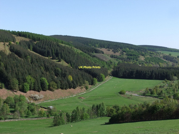 Photo 6"x4" Edgarhope Wood New Mills\/NT5249 c2011