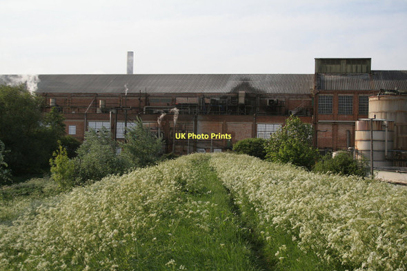 Photo 6"x4" Snodland paper mill Burham Court c2011