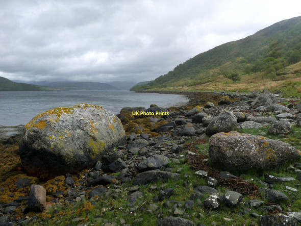 Photo 6"x4" Loch Sunart, south side Ardery c2011