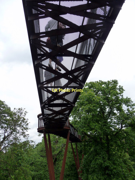 Photo 6"x4" Xstrata Tree Walk, Kew Gardens Brentford c2011