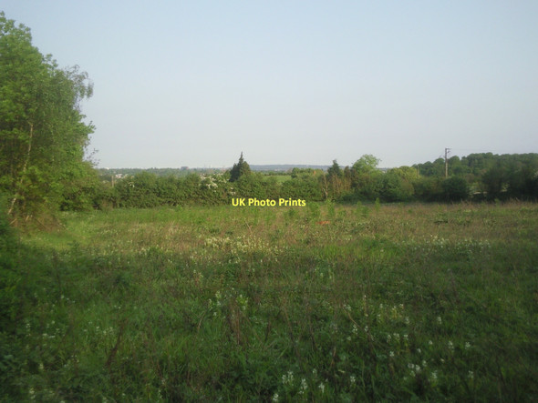 Photo 6"x4" Field next to Maidstone Road, Upper Ruxley Swanley\/TQ5168 c2011
