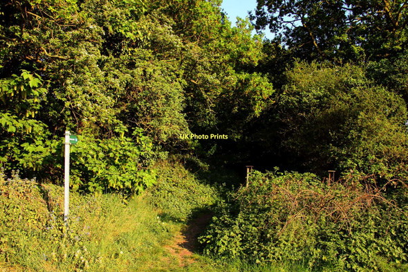 Photo 6"x4" Bridleway to Britwell Salome House Britwell Salome c2011