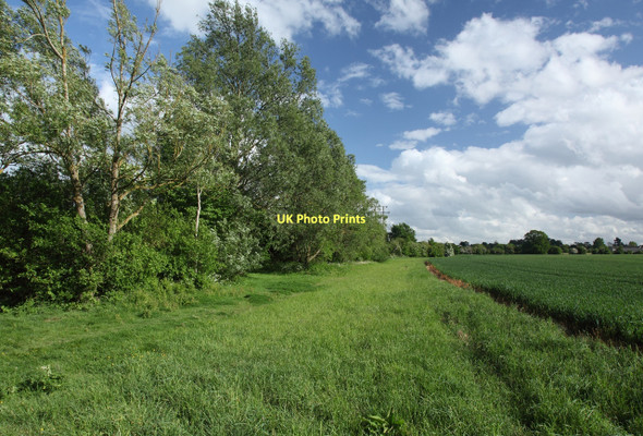 Photo 6"x4" Field boundary south of Hilperton Marsh Hilperton c2011