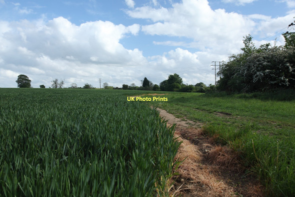 Photo 6"x4" View south along field boundary Hilperton c2011