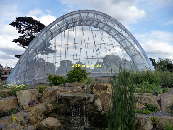 Photo 6"x4" Alpine Tunnel, Kew Gardens Brentford c2011