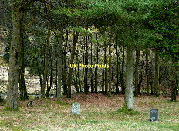 Photo 6"x4" Woodland and graveyard at Soar-y-Mynydd, Ceredigion Soar y Mynydd c2011