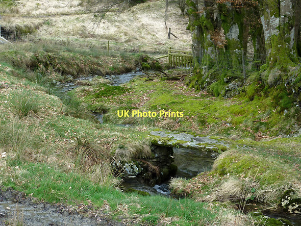 Photo 6"x4" Old footbridge across Nant y Brithdir, Ceredigion Soar y Mynydd c2011