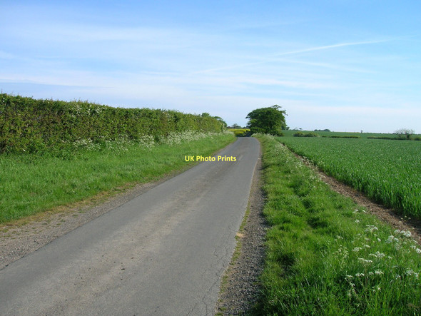 Photo 6"x4" Weeton North Lane heading North Weeton\/TA3520 c2011