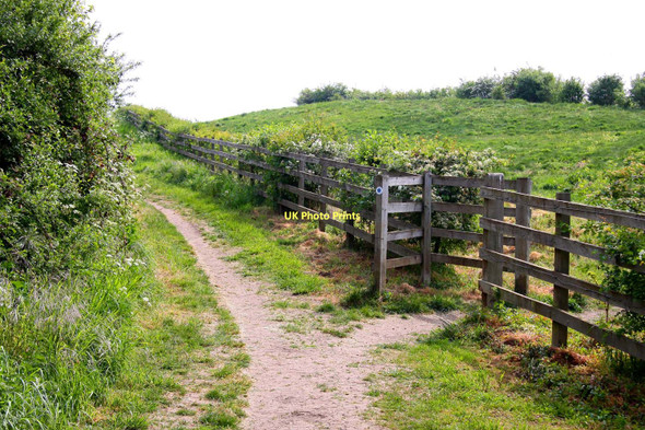 Photo 6"x4" Footpath off the bridleway Sandhills\/SP5607 c2011