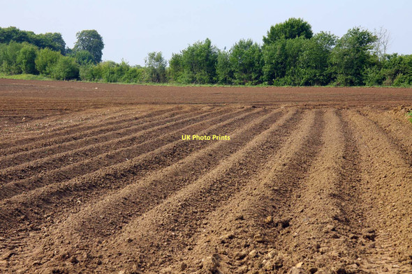 Photo 6"x4" Furrowed field by the bridleway Forest Hill\/SP5807 c2011