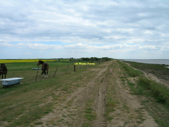 Photo 6"x4" Track beside Easington Clays Kilnsea c2011