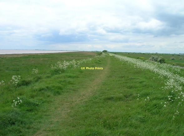 Photo 6"x4" Track on East Level Bank Skeffling c2011