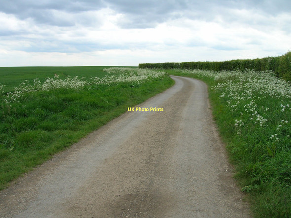 Photo 6"x4" Humber Side Road towards the Humber Weeton\/TA3520 c2011