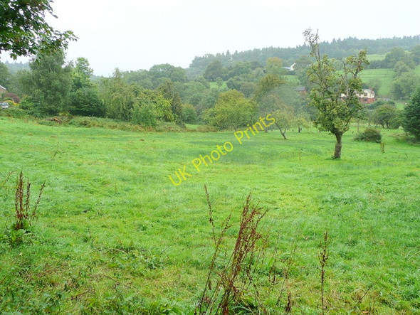 Photo 6"x4" Pastoral scene near the A40 Ganders Green c2009