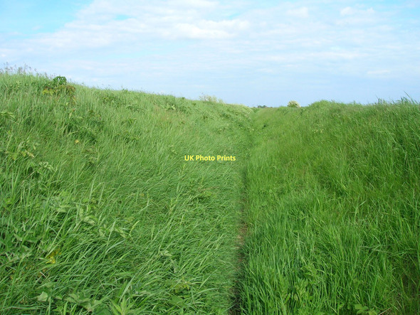 Photo 6"x4" Dry drainage ditch beside Brick Road Sunk Island c2011