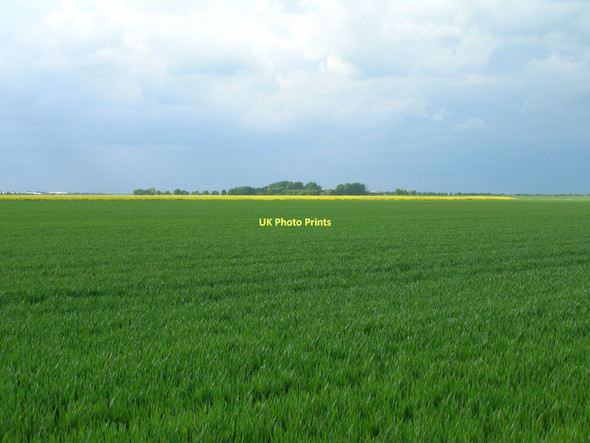 Photo 6"x4" Farmland near Winestead Farm Sunk Island c2011