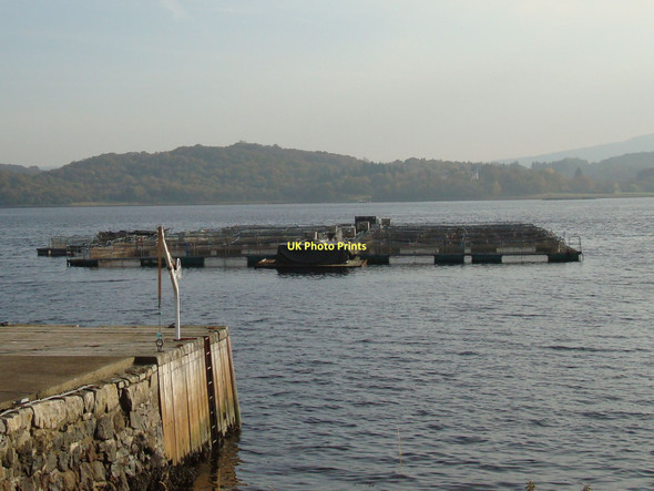 Photo 6"x4" Fish Farm, Loch Etive Inveresragan c2007