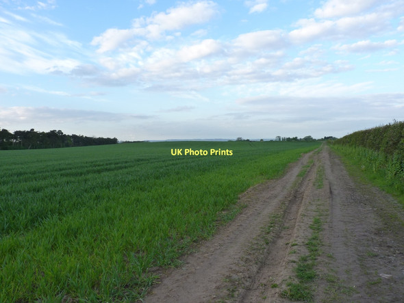 Photo 6"x4" Thornton Manor farm track Brafferton\/SE4370 c2011
