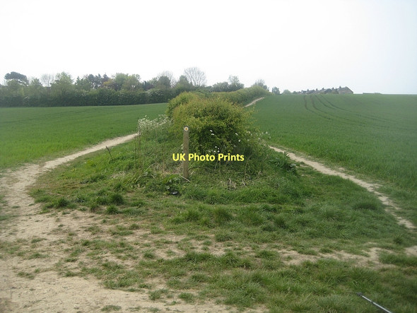 Photo 6"x4" Public footpath (2) Hessle\/SE4317 c2011