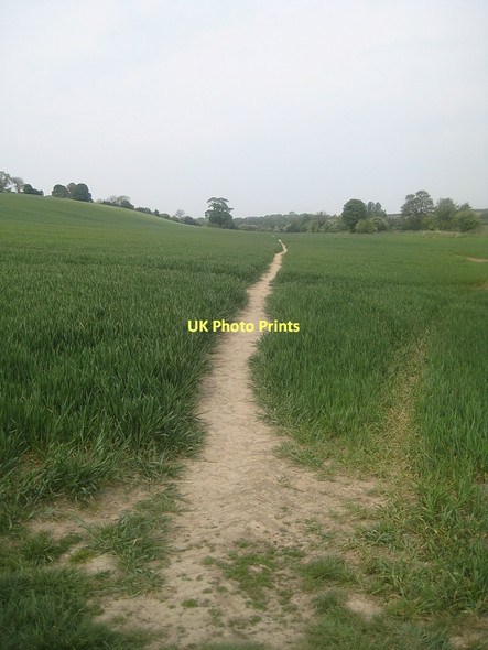 Photo 6"x4" Unofficial path Hessle\/SE4317 c2011