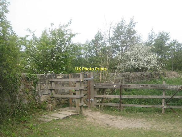 Photo 6"x4" Public footpath kissing gate Hessle\/SE4317 c2011