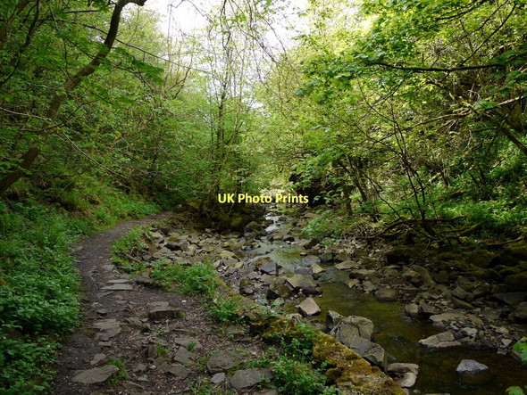 Photo 6"x4" Footpath by Middlehope Burn Westgate\/NY9038 c2011