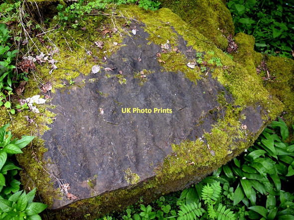 Photo 6"x4" Fossilised ripples in sandstone boulder, Middlehope Burn Westgate\/NY9038 c2011
