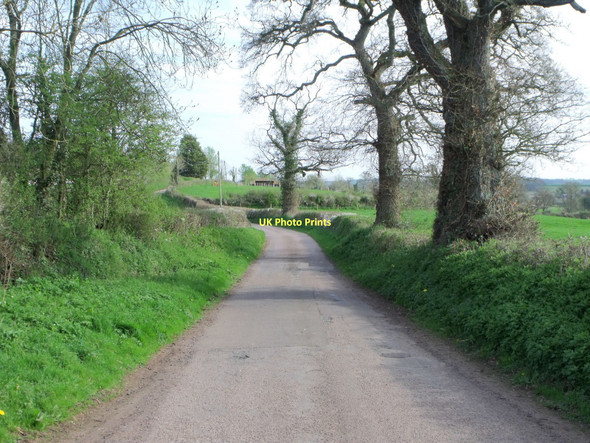 Photo 6"x4" Minor road north east of Crediton Crediton c2011
