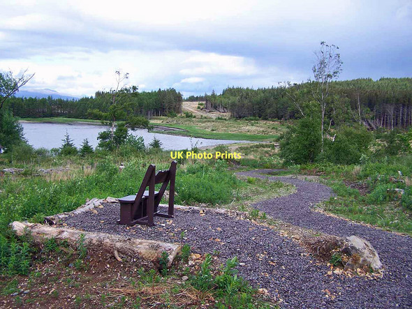 Photo 6"x4" Forest strolls Corry\/NG6424 c2011