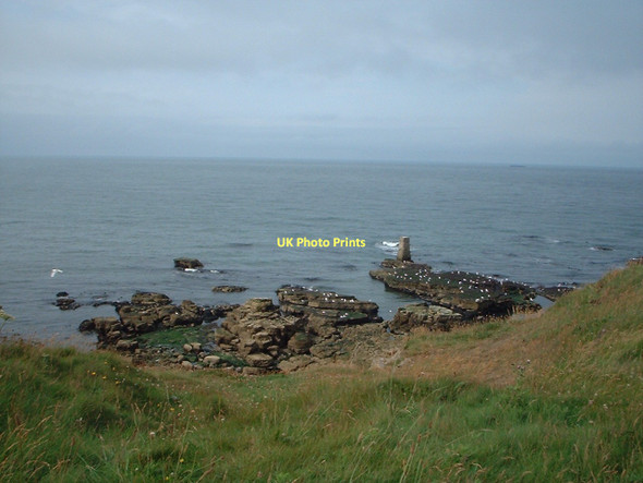 Photo 6"x4" Low tide below the coastal path at Souter Lighthouse Marsden\/NZ3964 c2002