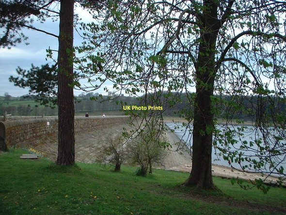Photo 6"x4" Dam wall at Swinsty Reservoir through the trees Bland Hill c2002