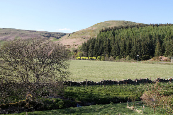 Photo 6"x4" View Across Glen Devon Glendevon\/NN9904 c2011