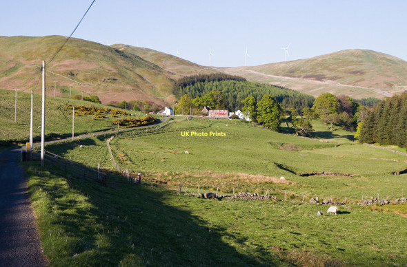 Photo 6"x4" Wester Glensherup Glendevon\/NN9904 c2011