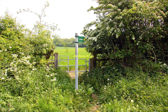 Photo 6"x4" Footpath to Holton Forest Hill\/SP5807 c2011