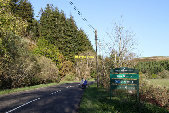 Photo 6"x4" A823 In Glen Devon Glendevon\/NN9904 c2011