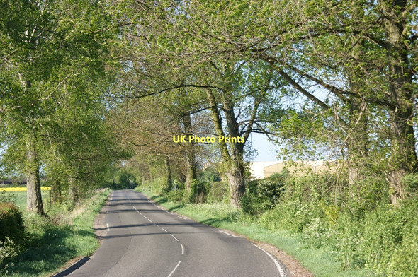 Photo 6"x4" Tree-lined lane, Toll Bar Road, Marston Marston\/SK8943 c2011