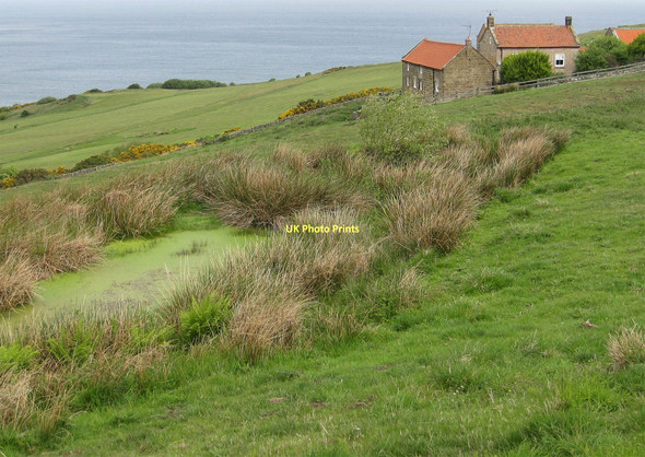 Photo 6"x4" Small pond by Peakside Ravenscar c2011