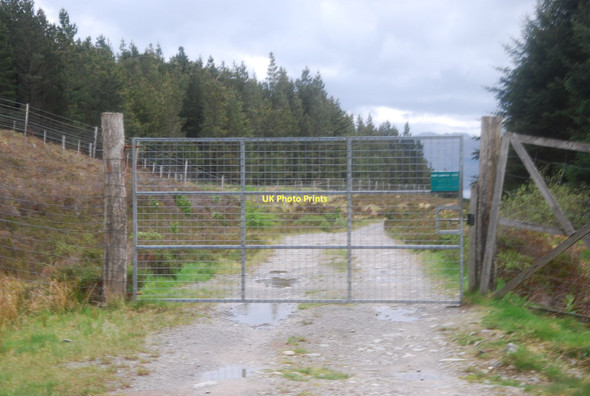 Photo 6"x4" Forestry Gate Inverie c2011