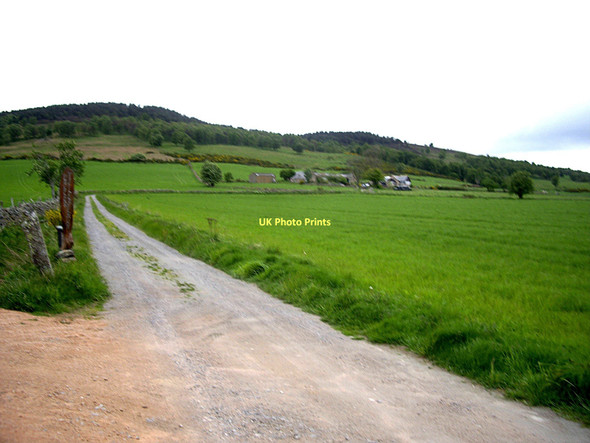 Photo 6"x4" Track to Upper Tillylair Coull\/NJ5102 c2011