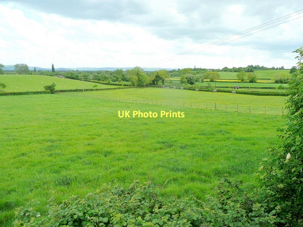 Photo 6"x4" Vale of Gloucester Chaxhill c2011