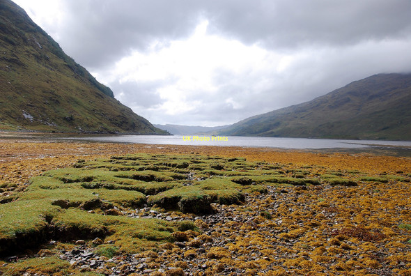 Photo 6"x4" The Salt Shallows Bac Gobhar c2011