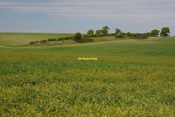 Photo 6"x4" Greenwich Meridian just north of the Drove Lewes c2011