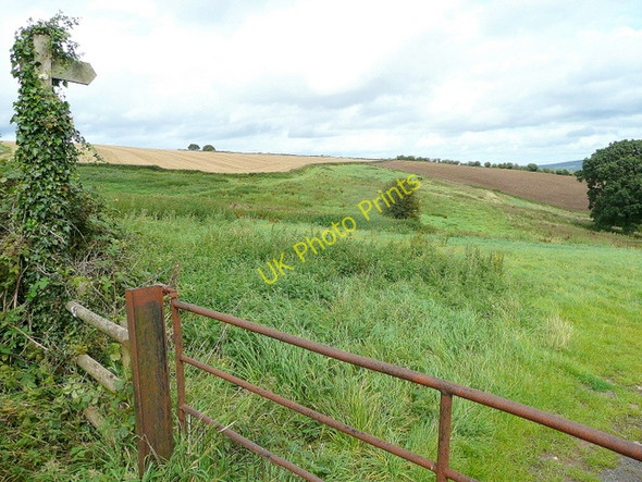 Photo 6"x4" Footpath to Tar's Mill Twyford Common c2009