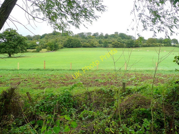 Photo 6"x4" View to Dinedor Hill Dinedor Cross c2009