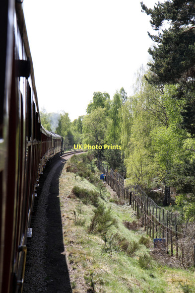 Photo 6"x4" Behind The Gardens Boat of Garten c2011