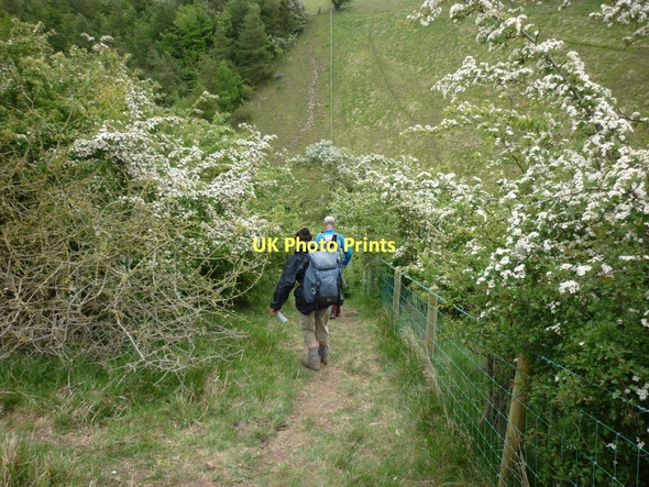 Photo 6"x4" Heading down into Wan Dale Fimber c2011
